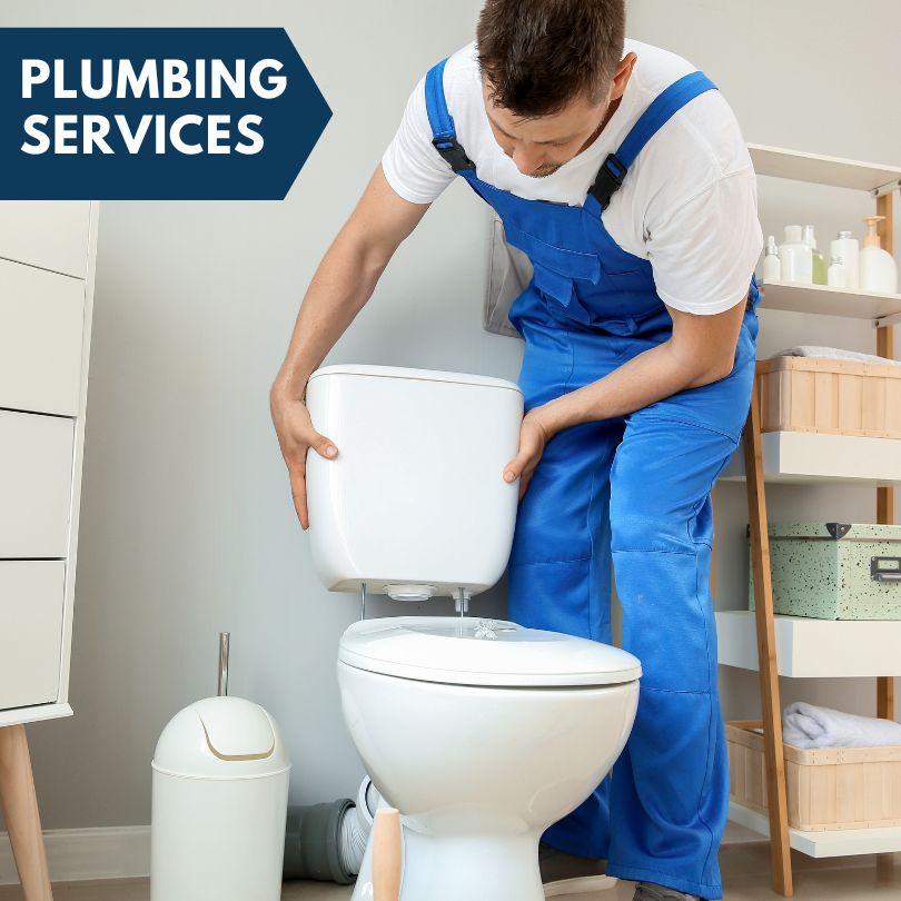 Plumbing Company in Florahome, FL